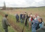 Obst und Gartenbauverein Horrenberg-Balzfeld bietet Schnittkurs an