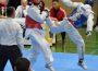 Tae-Kwon-Do Kämpfer erfolgreich beim Tübinger Pokal
