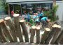 Waldschule Walldorf: Schulfest zum 50-jährigen Jubiläum