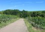 Weinwanderung der Freunde der Kunst und der Heimatgeschichte Weinstadt Rauenberg e.V.