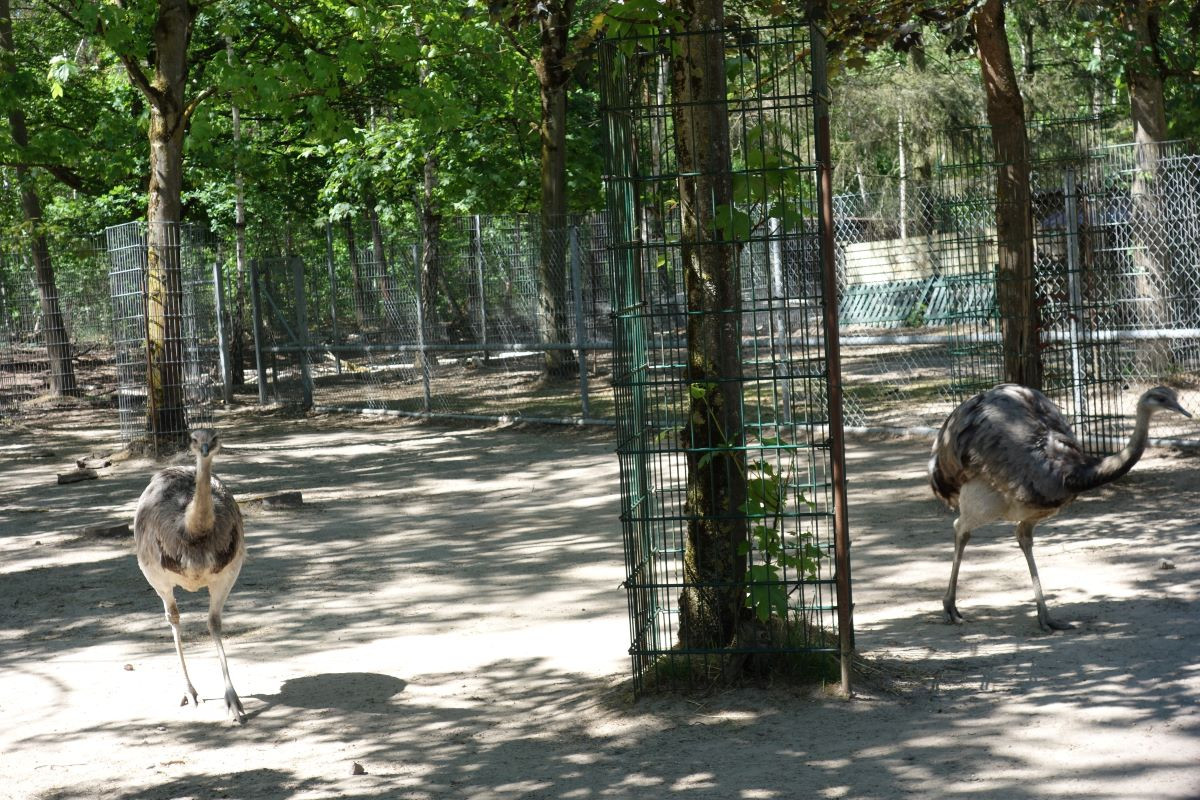 Tierpark öffnung