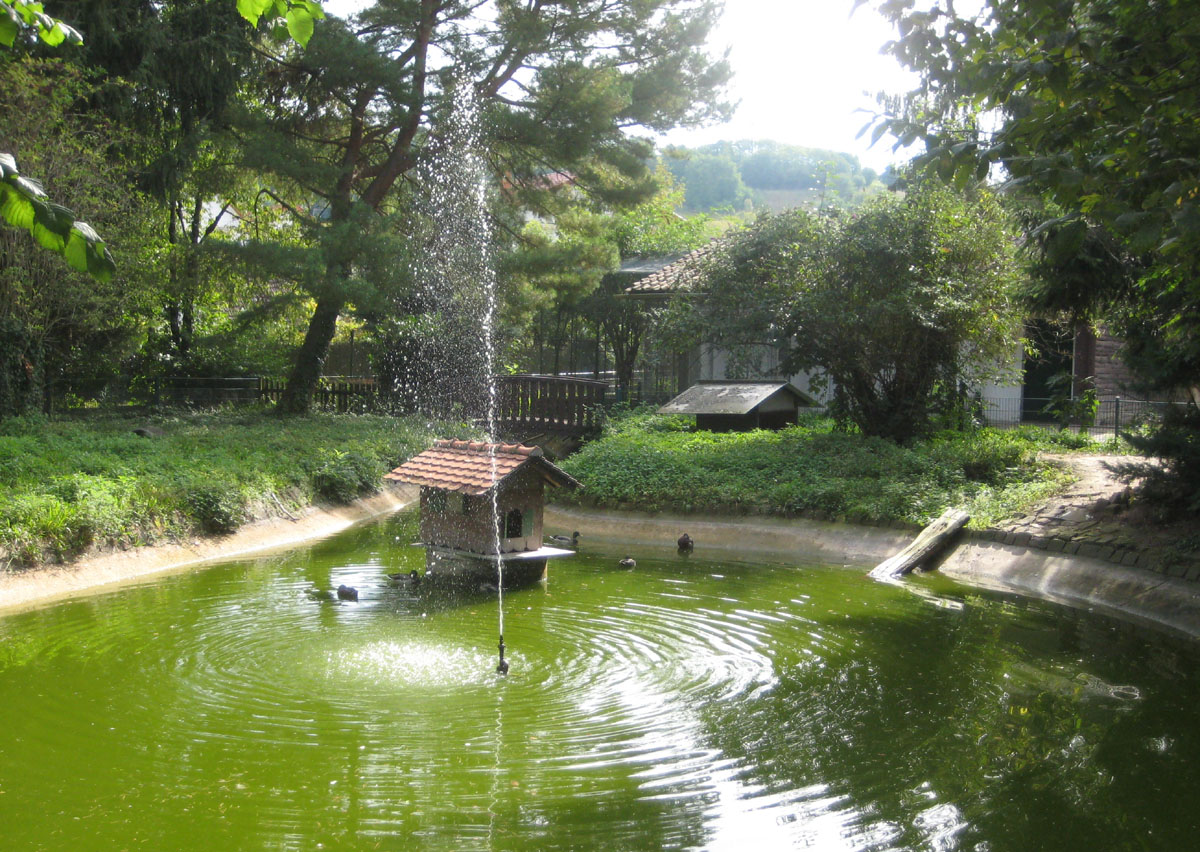 Heute Bachufer –  Fest im Tierpark von Rauenberg