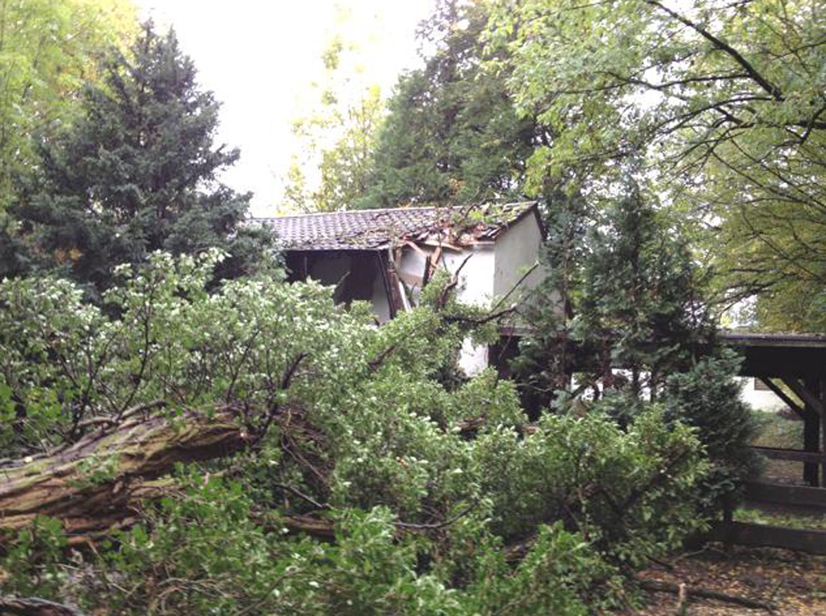 Baum stürzte auf Vereinsheim
