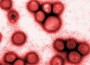 Influenza: Zwei Todesfälle in der Region