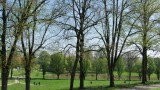 Park PZN Wiesloch