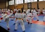 TSG Karate Kids beim Rhein Shiai