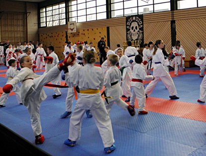 TSG Karate Kids beim Rhein Shiai