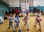 TSG Wiesloch Karate Kids geben Gas