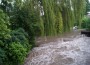 Wildwasser in Wiesloch
