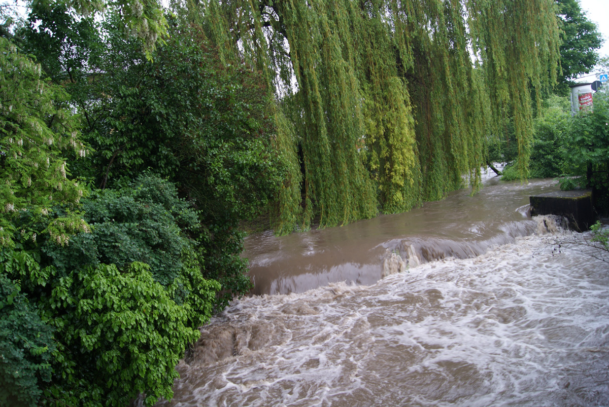 Wildwasser in Wiesloch