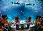 Ferientipp – SEA LIFE Speyer