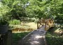 Ferientipp – Vogelpark Zuzenhausen