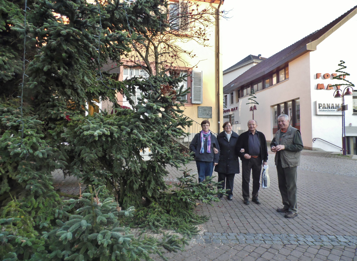 Wiesloch: Weihnachtsbaum aufgestellt