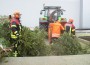 Jung-Feuerwehr macht Christbaum-Sammlung