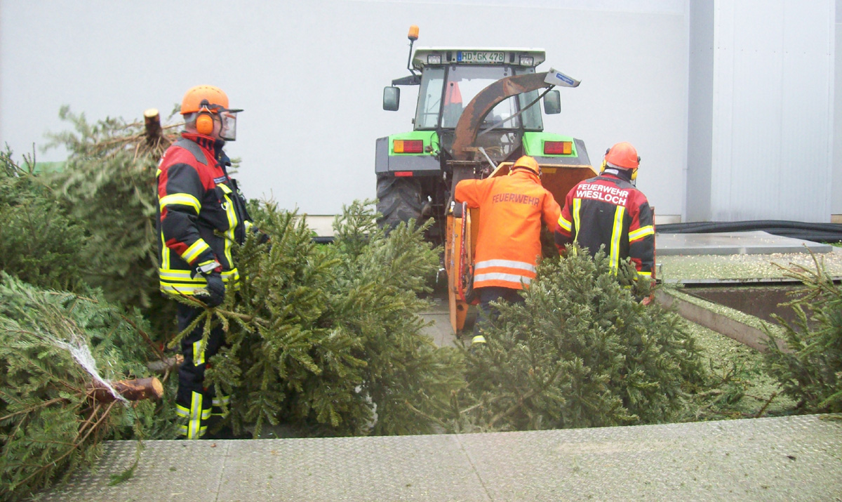 Jung-Feuerwehr macht Christbaum-Sammlung