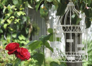 gaerten_hoefe_2013_005