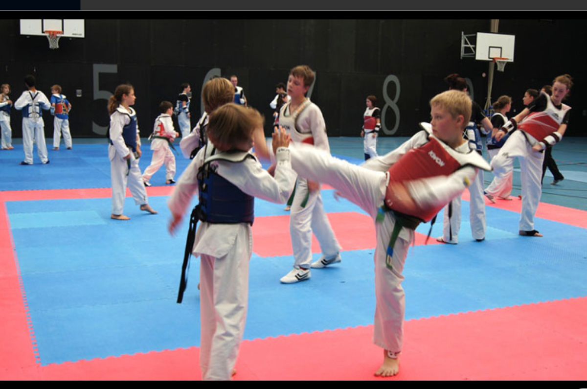 TAE-KWON-DO Infotag und Schnuppertraining am 08.02.