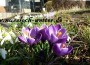 Winter ade? Ein verfrühter Frühling ist da!