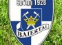 SpVgg Baiertal: Arbeitseinsatz rund um den Sportplatz