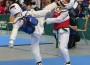 Tae Kwon Do Koleyko Wiesloch erneut erfolgreich