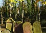 Vergangen, nicht vergessen – Mitten unter uns – Der jüdische Friedhof Wiesloch
