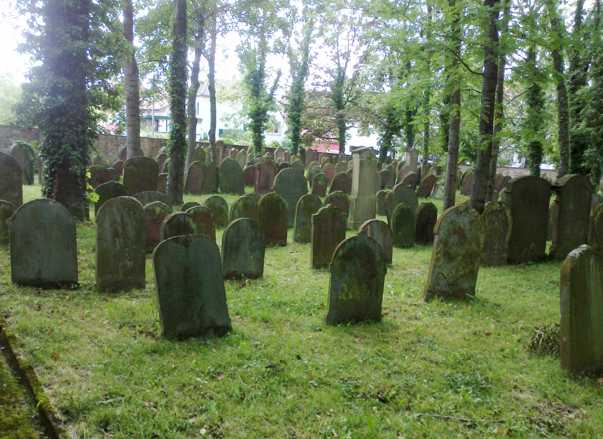 Begegnung mit dem jüdischen Friedhof, Impressionen
