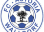 Kaderplanung des FC A Walldorf für neue Saison abgeschlossen
