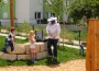 Wespenalarm am Spielplatz