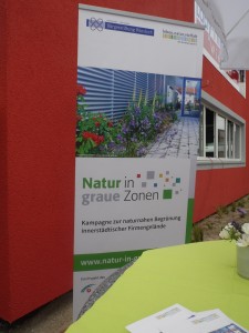 Natur in grauen Zonen 013