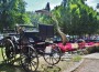 FhF, Wiesloch wurden 30 und luden zu “Oldies im Park”