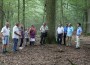 Bonus für den Hirschkäfer