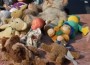 Heute Walldorfer Kinderkleider- und Spielwarenmarkt am 13.09.2014.