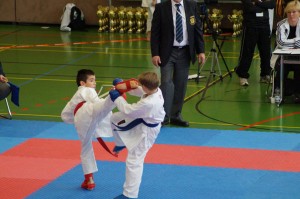 Karate_2014_10_01