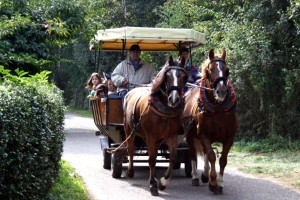 doerrbachhofkutsche