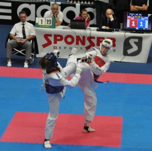 taekwon_20141019_01