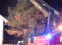 Aktuell: Brand in Walldorf 1.Update