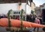 Geeleriewe-Kerwe Balzfeld – Impressionen vom Umzug 2014