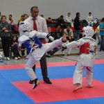 tkd_3011_01