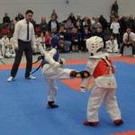 tkd_3011_03