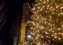 Weihnachtsbaumverkauf für den sozialen Zweck