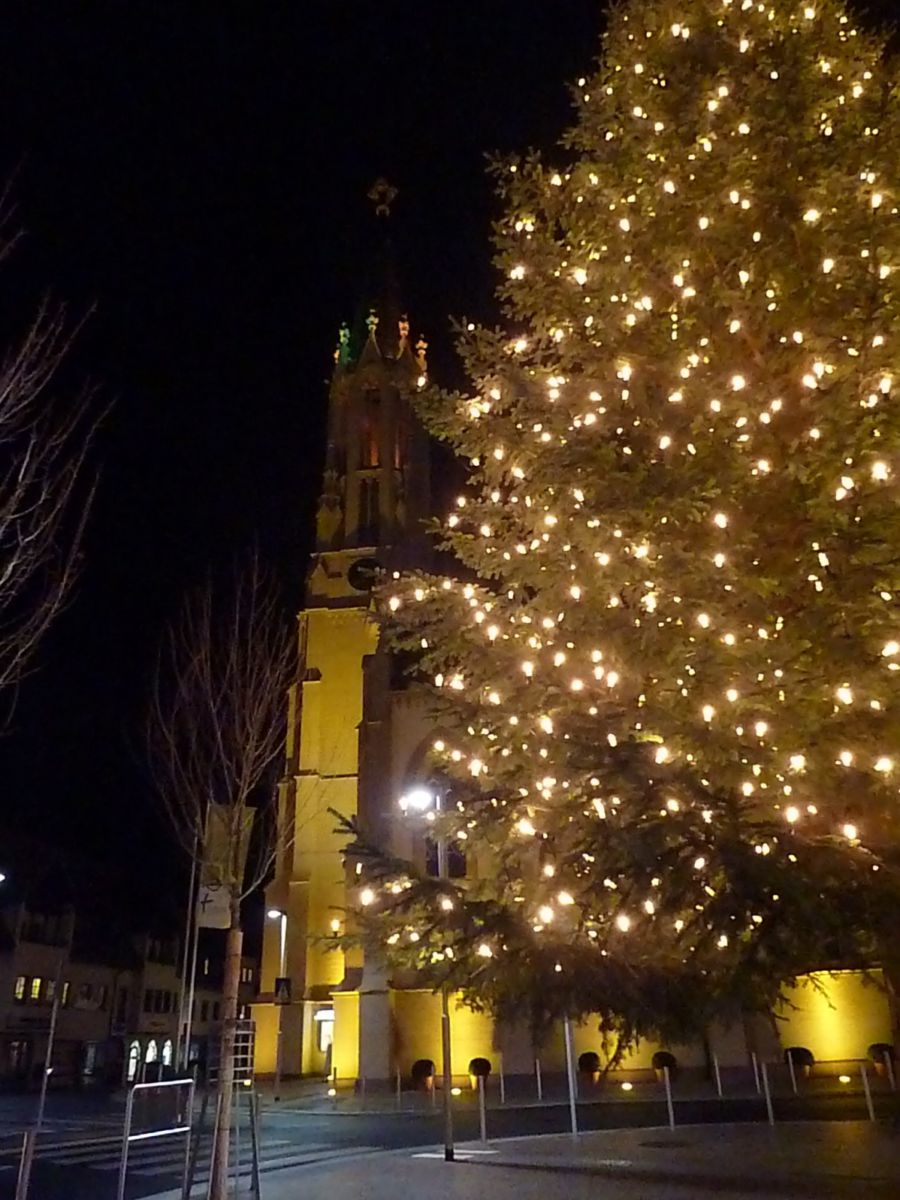 Weihnachtsbaumverkauf für den sozialen Zweck