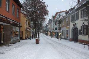 wiesloch-schnee (10)