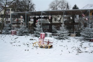 wiesloch-schnee (14)