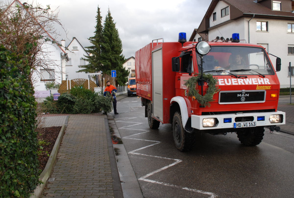 Mehrere tausend Christbäume abtransportiert – Verbrennung am 24. Januar