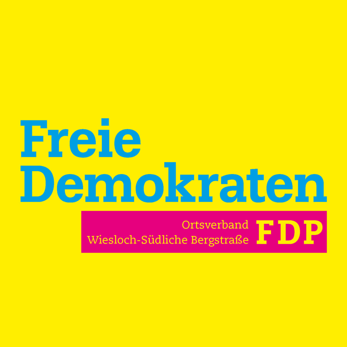 FDP Wahlkreiskonferenz