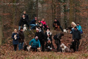 hundepetition (1)