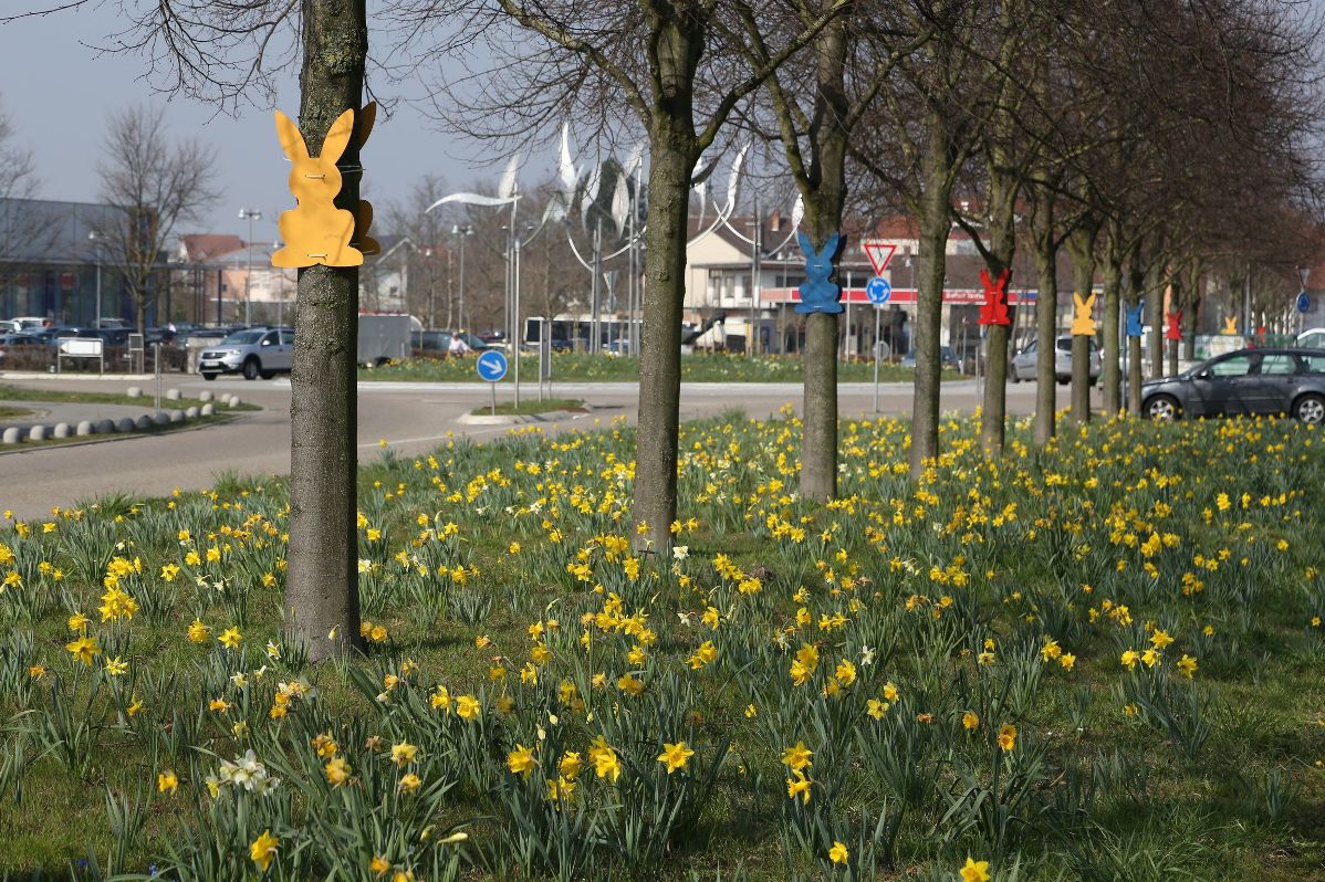 Meister Lampe unterwegs in Walldorf