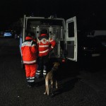 vermisstepersonnussloch (14)