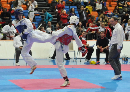 Tae Kwon Do Kämpfer mit Gold und Silber