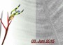 FIN lädt ein: “Im Namen der Blume” von Richard Fischer